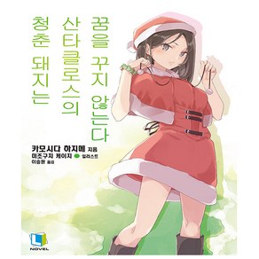 청춘 돼지는 산타클로스의 꿈을 꾸지 않는다 13권, 디앤씨미디어(D&C미디어), 카모시다 하지메