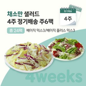 채소만 샐러드 4주 정기배송 (주 베이직3팩+베이직 플러스3팩씩)