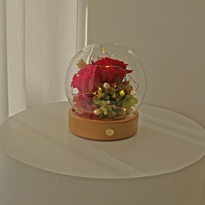 LED 이터널로즈 프리저브드 무드등 1+1 13cm/16cm 건전지포함, Red&beauty 13cm + 13cm