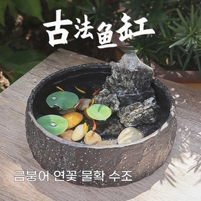 물확 정원 돌확 수경 돌수반 어항 연꽃 수석수반, 긴타원형 스트립연꽃 5씨앗 포함