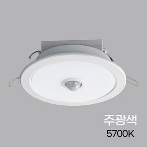 그린티 다운라이트LED 매입센서등비상6인치20W국산 주광색