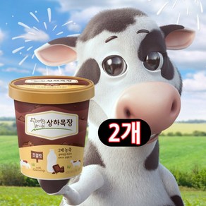 매일유업 상하 아이스크림 초코 파인트(474ml), 2개, 474ml