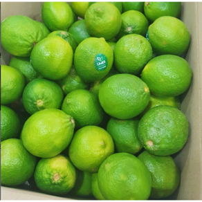 직수입 새콤달콤 비타민C 라임 1kg 3kg 4kg 6kg 8kg 생라임 Lime 모히또 라임청 대과(100g내외), 1개