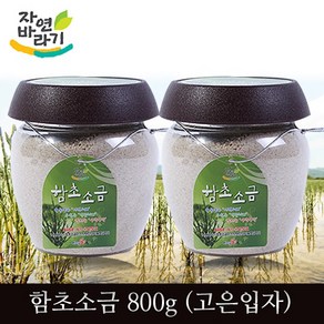 신안애 자연바라기 함초소금 (고운입자), 800g, 2개