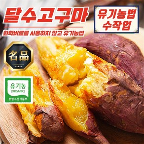 무안 유기농 햇고구마 꿀 달수고구마 KG 별 옵션, 무안 유기농 달수고구마 특상 3kg, 1개