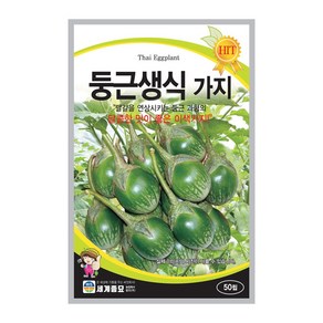 둥근생식가지 50립 / 가지 씨앗 종자 텃밭키우기 채소키우기