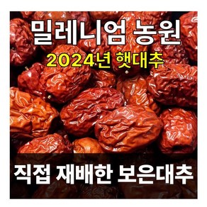 2024/보은대추/밀레니엄 농원/대추/건대추(1kg), 1개, 1kg/건28mm