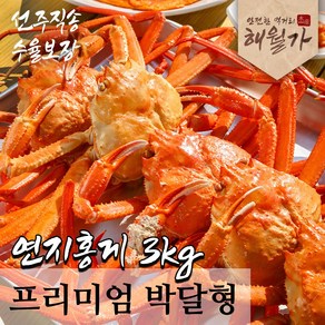 [수율보장] 주문진 박달형 연지홍게 자숙홍게 찜발송 산지직송 3kg (9-11미), 1개