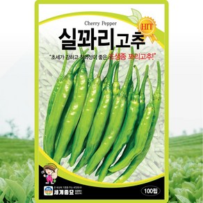 세계종묘 실꽈리고추 씨앗 100립 조생종 꽈리 풋고추씨 종자, 1개