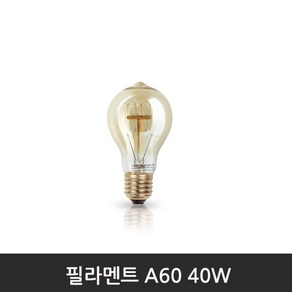 [포커스]에디슨 필라멘트 A60 40W 2200K