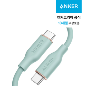 앤커 파워라인3 플로우 USB-C to C 케이블 180cm, A8553061, 민트 그린, 1개