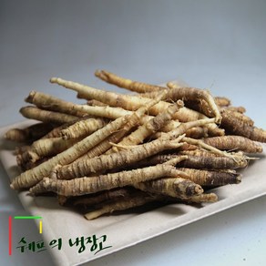 10kg 세척더덕 수입피더덕 중국산더덕 중국산피더덕 수입더덕 중국더덕 식당 업소용 급식 도매, 1개