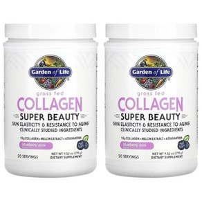 Gaden of Life 그래스 페드 콜라겐 Gass Fed Collagen 블루베리 아카이 270g 2통, 2개