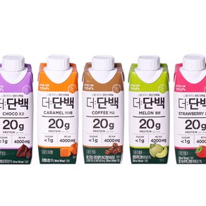 빙그레 더단백 드링크 5종 커피6 초코3 카라멜3 멜론3 딸기3 250ml, 18개, 250mg