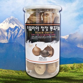 통흑마늘 히말라야통흑마늘 통마늘 순수100%[원광대학교], 1개, 500g