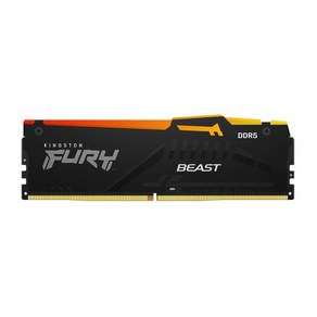 Kingston FURY Beast DDR5 RGB 8GB 16GB 32GB 4800 5200 5600 6000 MHz 데스크탑 AMD 인텔 CPU 마더 보드 메모리 램 288, [10] 32G 5200MHz DDR5 RGB, 07 32G 5200MHz DDR5 RGB