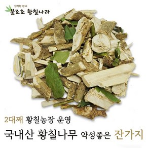 불로초황칠나라 황칠나무 황칠나무가지(약성높은 잔가지) 400g 800g, 1개