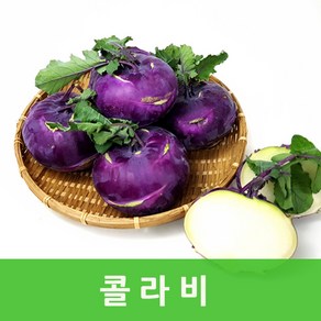 싱싱한 콜라비10kg 제주 콜라비 맛있는 컬러푸드