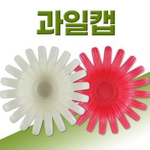 팬캡 과일캡 과일포장 과일보관 과일충격방지 과일보호