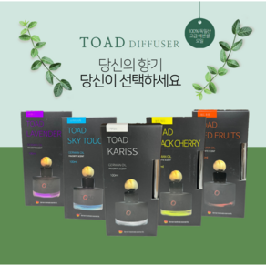 토드 디퓨져 에센셜 오일 무알콜 차량용 디퓨저 100ml, 스카이터치, 1개