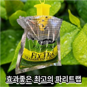 파리 트랩 날 초 플라이 퇴치기 포획 박멸 제거 초파리 FLY TRAP 싹쓰리 잡기 1개입, 1개