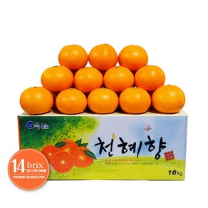 고당도 프리미엄 천혜향 한라봉, 1박스, 못난이 천혜향 3kg