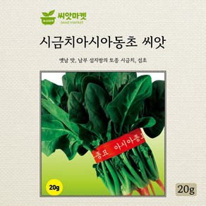 아시아동초 시금치 씨앗 20g, 1개