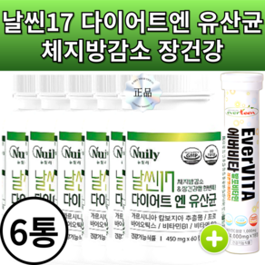 슬림 날씬17 다이어트엔 유산균 체지방 감소 가르니시아 450mg