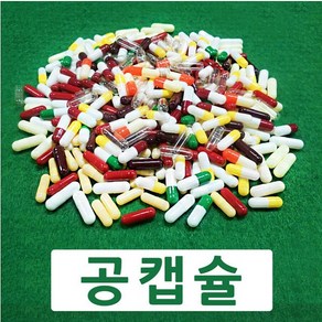 코인텍 빈알약 공캡슐 1000개1팩 100mg~500mg용량