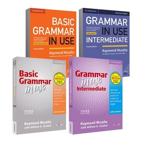 Basic Grammar in Use 한국어판/ 영문판 3E/4E, Basic 한국어판(3판)