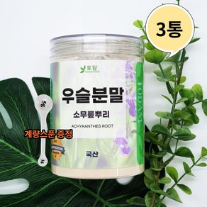 국내산 우슬분말 건 뿌리 차 우술 초 쇠무릎 가루 풀 나무 쇠물팍 300g, 3개