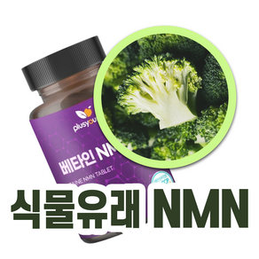 플러스영 식물성 NMN 베타인 브로콜리 추출 600mg, 1개, 60정