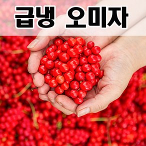 [시골마당] 2024 문경오미자 햇오미자