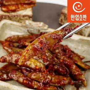 한입소반 직접담근 전라도식 청양고추장아찌무침 500g, 1개, 400g