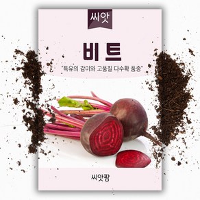 씨앗팜 비트씨앗 (200립)