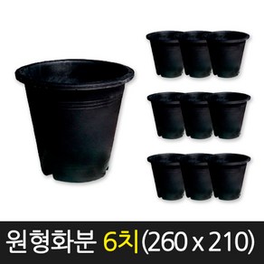 서경농원 고무 원형화분 흑색 6치(260 x 210) 10개