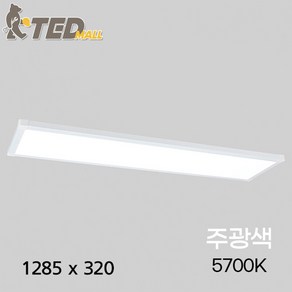 원하 비츠온 무타공 메가 M1 플리커프리 LED 엣지등 면조명 직하등 평판등 50W 1285 x 320 mm, 화이트(조명) + 주광색(전구)