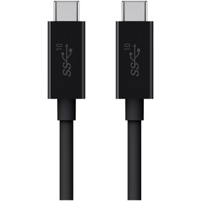 벨킨 3.1 USB C to C타입 100W 케이블 F2CU052bt1M, 1m, 블랙, 1개