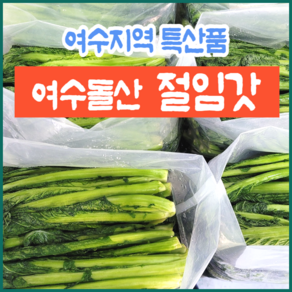 여수 돌산 절임갓 노지갓 돌산갓 생산자 직접발송