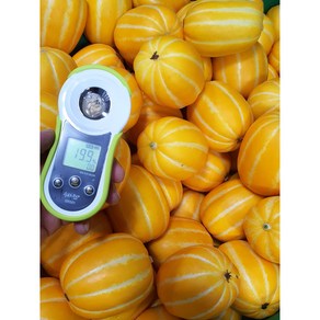 고당도 선별 성주 꿀참외 특품 못난이 꼬마 참외 2kg 3kg 5kg, 못난이참외, 1개