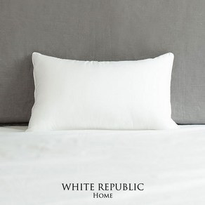 [화이트리퍼블릭] 울트라 마이크로화이버 미니솜 Ulta Micofibe Cushion (50x30), 1개
