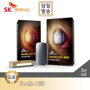 SK하이닉스 Beetle X31 Portable SSD 2TB DRAM 탑재 / 전용 케이스
