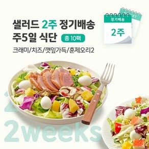 [포켓샐러드] 샐러드 2주 정기배송 주5일 (크래미1+치즈1+깻잎1+훈제오리2)