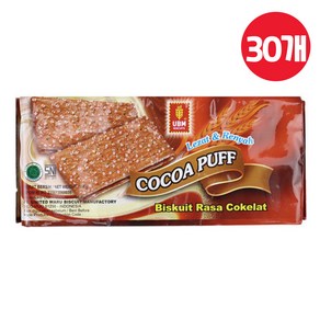 유비엠 코코아 퍼프 100g, 30개