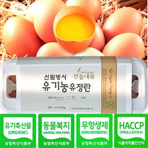 난각번호1번 초란 영양만점 유기축산물 유정란 무항생제 동물복지 해썹인증 유기농 계란 산림방사 방목, 1개, 20구