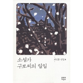 소설가 구보씨의 일일, 문학과지성사, 최인훈 저