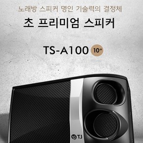 노래방몰 TJ미디어 초 프리미엄 스피커 TS-A100 10인치 럭셔리 디자인 스피커