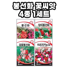 모칸도 봉선화 꽃씨앗 4종 모음 다년생 꽃씨앗 노지 월동 야생화 씨앗 봄 가을 파종 꽃씨, 1개