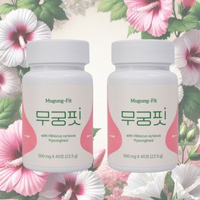 [공식] 무궁핏, 2개, 22.5g