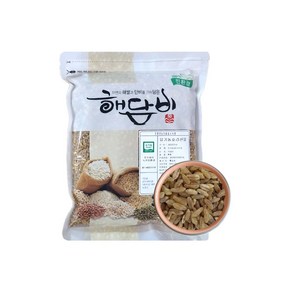 국내산 유기농호라산밀 500g 24년산, 1개